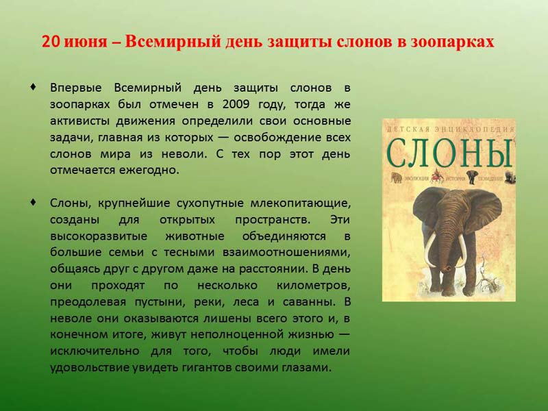 20 июня это. Всемирный день защиты слонов. Всемирный день защиты слонов в зоопарках. 20 Июня день защиты слонов в зоопарках. Всемирный день слонов в зоопарке.