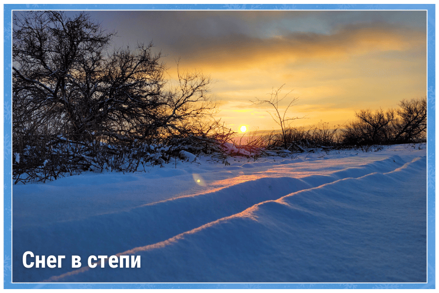 Снег в степи Снег в степи