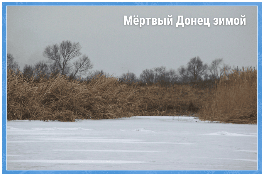 Мёртвый Донец зимой Мёртвый Донец зимой