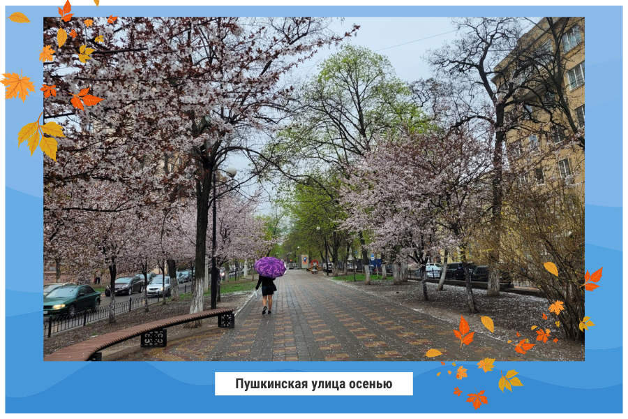 Пушкинская улица осенью Пушкинская улица осенью