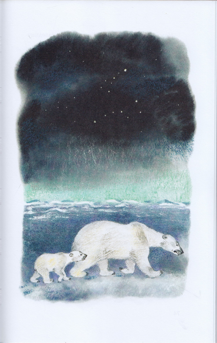 Нажмите для увеличения. Бундур, О. С. В гостях у белого медведя. Фото книги из фонда библиотеки 