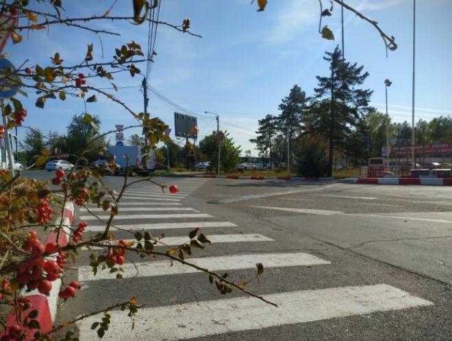 Напротив рынка «Алмаз». Автор фото: Пугачева Т.Л. Напротив рынка «Алмаз». Автор фото: Пугачева Т.Л.